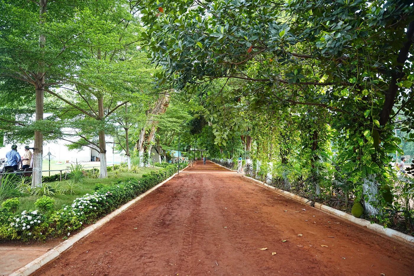 Tree-lined pathway through the Vijayawada Club grounds